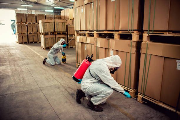 Best Emergency Pest Control  in Stallion Springs, CA
