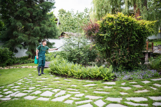Best Emergency Pest Control  in Stallion Springs, CA