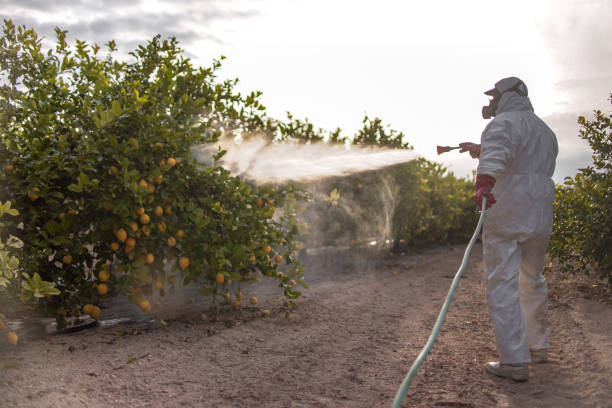 Best Wildlife Control Services  in Stallion Springs, CA