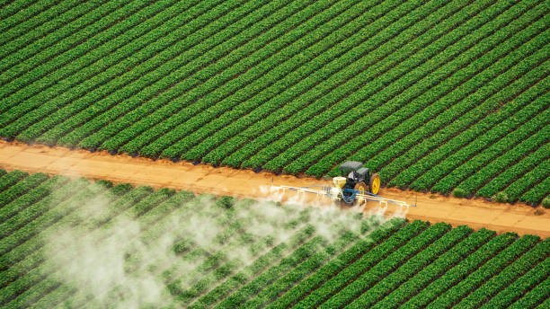 Professional Pest Control in Stallion Springs, CA