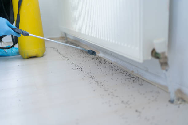 Best Commercial Pest Control Services  in Stallion Springs, CA